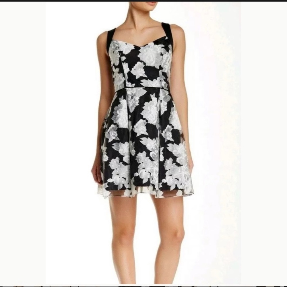 Aidan by Aidan Mattox